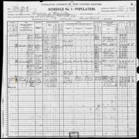 Edward Bradley; 1900 Census