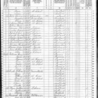 Bridget Wild; 1870 Census