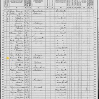 Peter Connor; 1870 Census