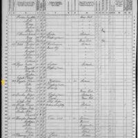 Thomas and Ellen Higgiston; 1870 Census