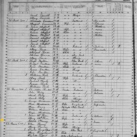 Patrick Harvey; 1855 Census