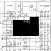 John Brennen; 1880 Census
