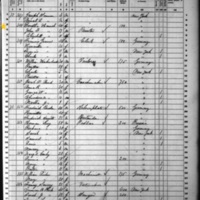 Dolly and John Hannah; 1860 Census (Identified as Dorothea)