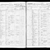 Mary Lee; 1855 Census