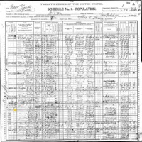 Ellen Corcoran; 1900 Census