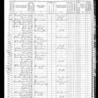 Fanny McDonnell; 1870 Census