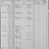 Bridget Cooley; 1870 Census
