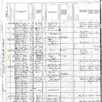 Patrick Whelan; 1880 Census