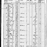 Margaret Hanley; 1860 Census