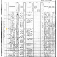 Elizabeth and Patrick O'Brien; 1880 Census