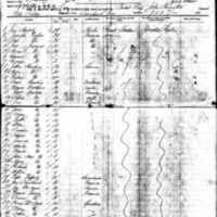 Edmund Butler on Ship Manifest (I)