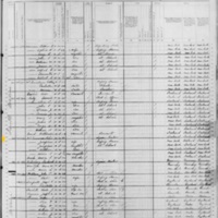 Peter McGinness; 1880 Census