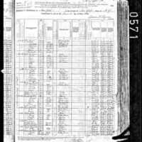 Luke Molloy; 1880 Census