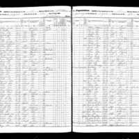 Patrick Nolan; 1855 Census