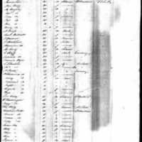 Mary Flanigan on Ship Manifest