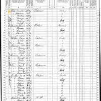 Murtagh and Honora Shea; 1870 Census