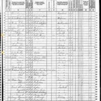 Richard J. Lalor; 1870 Census