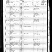 Mary Dowdle; 1850 Census