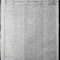 Bridget and James Bresland; 1855 Census