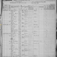 Bridget Wild; 1865 Census