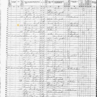 Patrick J. Costello; 1855 Census
