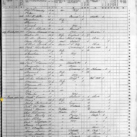 Michael R. Curran; 1855 Census