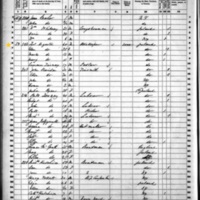 Thomas and Ellen Higgiston; 1860 Census