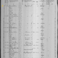 James and Honora Galavan; 1860 Census