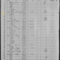 Mary McAuliffe; 1850 Census
