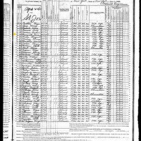 Jane Brannick; 1880 "Schedule of Defective, Dependent,  and Delinquent Cases"