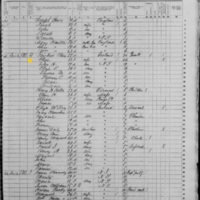 Eliza Cline; 1855 Census