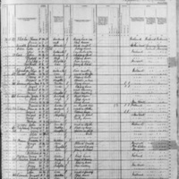 Patrick Sloan; 1880 Census