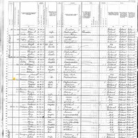 Patrick Cullen; 1880 Census