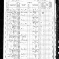 James McKeegan; 1870 Census