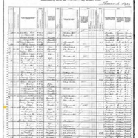 John O'Keefe; 1880 Census