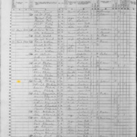 Timothy Flaherty; 1855 Census
