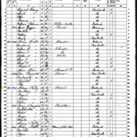Thomas and Mary Kelly; 1860 Census