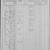 William and Bridget Graham; 1870 Census