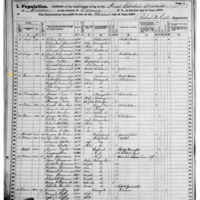 Mary Cummins; 1875 Census