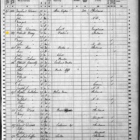 Patrick Barry; 1860 Census