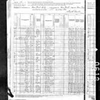 Peter Caffary; 1880 Census