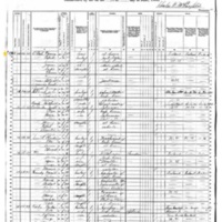 Fanny O'Neill; 1880 Census