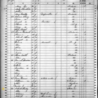 Patrick and Ellen Hurley; 1860 Census