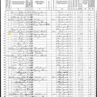 Ellen Connell; 1870 Census