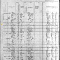 Patrick McGill, Surviving Family Members; 1880 Census