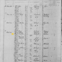 Grace Freel; 1855 Census
