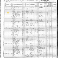 Daniel Finn; 1855 Census