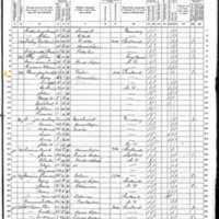 Michael Flanigan; 1870 Census