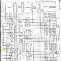 Bridget Cooley; 1880 Census