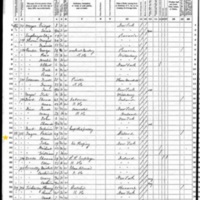 Ann Fagen; 1870 Census